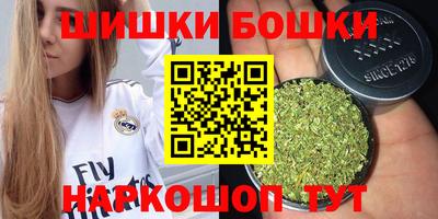 стаф Пенза