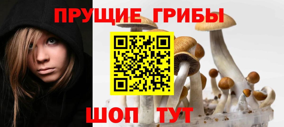 Псилоцибиновые грибы мицелий Севастополь