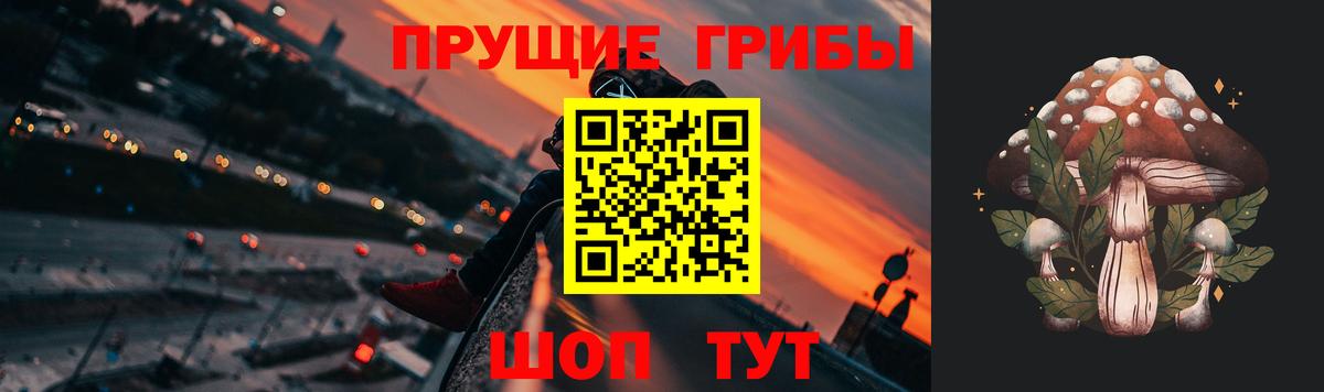 Галлюциногенные грибы мухоморы  Вход с VPN  Севастополь 